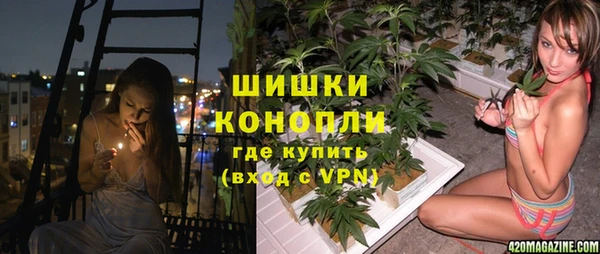 тгк Богородск