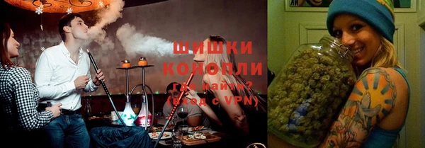 тгк Богородск