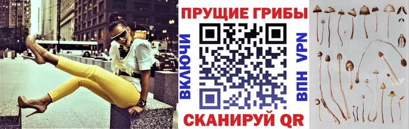 наркота  Междуреченск  Галлюциногенные грибы MAGIC MUSHROOMS 